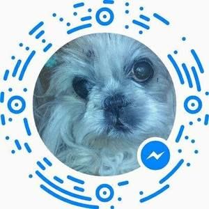 Meet your Posher, Tamika